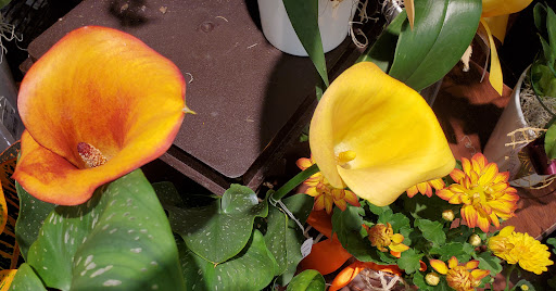 Grocery Store «Safeway», reviews and photos, 1455 NE Division St, Gresham, OR 97030, USA