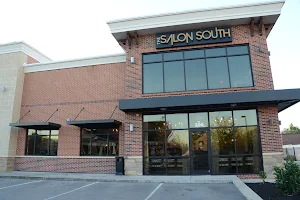 The Salon South image