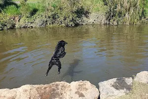 Kedron Brook Off Lead Dog Park image