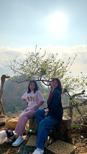 Top 20 cửa hàng ainosofia Huyện Mai Châu Hòa Bình 2022