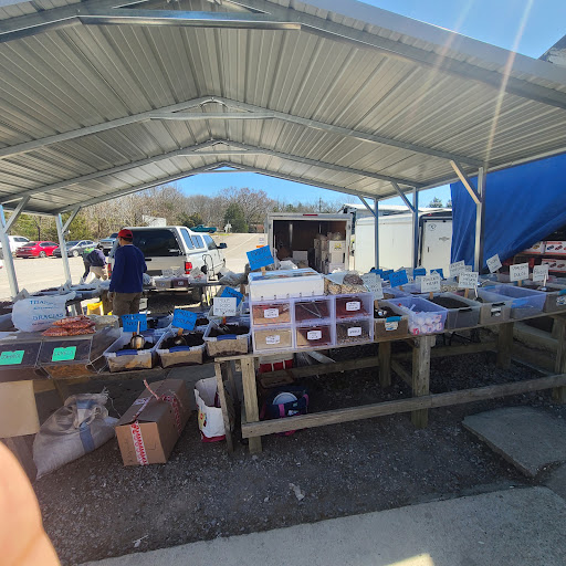 Flea Market «Parkland Flea Market & Restaurant», reviews and photos, 4994 Murfreesboro Rd, Lebanon, TN 37090, USA