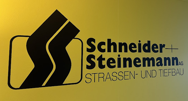 Schneider und Steinemann AG - Frauenfeld