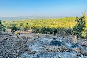 Horap Jungle View Point image