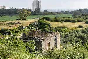 Matan Gottlieb's Hill image