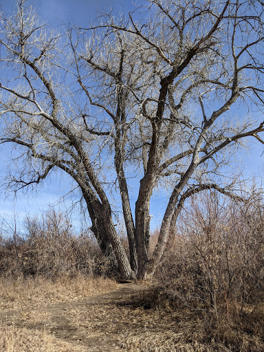 Park «Piney Creek Hollow Park», reviews and photos, 6140 S Tower Rd, Aurora, CO 80016, USA