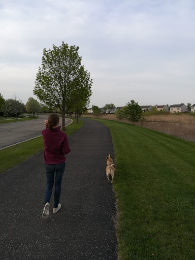 Park «Tuscany Trail Park», reviews and photos, 445 Grape Vine Trail, Oswego, IL 60543, USA