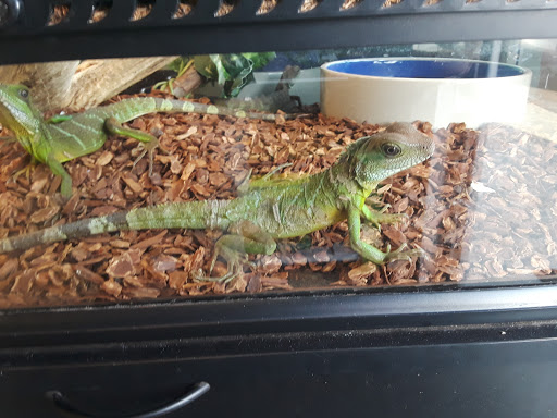Pet Supply Store «Pet Bazaar», reviews and photos, 490 FL-436, Casselberry, FL 32707, USA