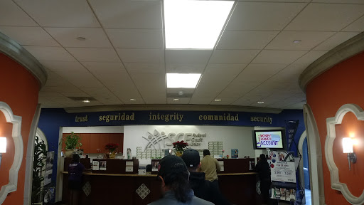 Credit Union «SCE FCU - Lynwood Branch», reviews and photos