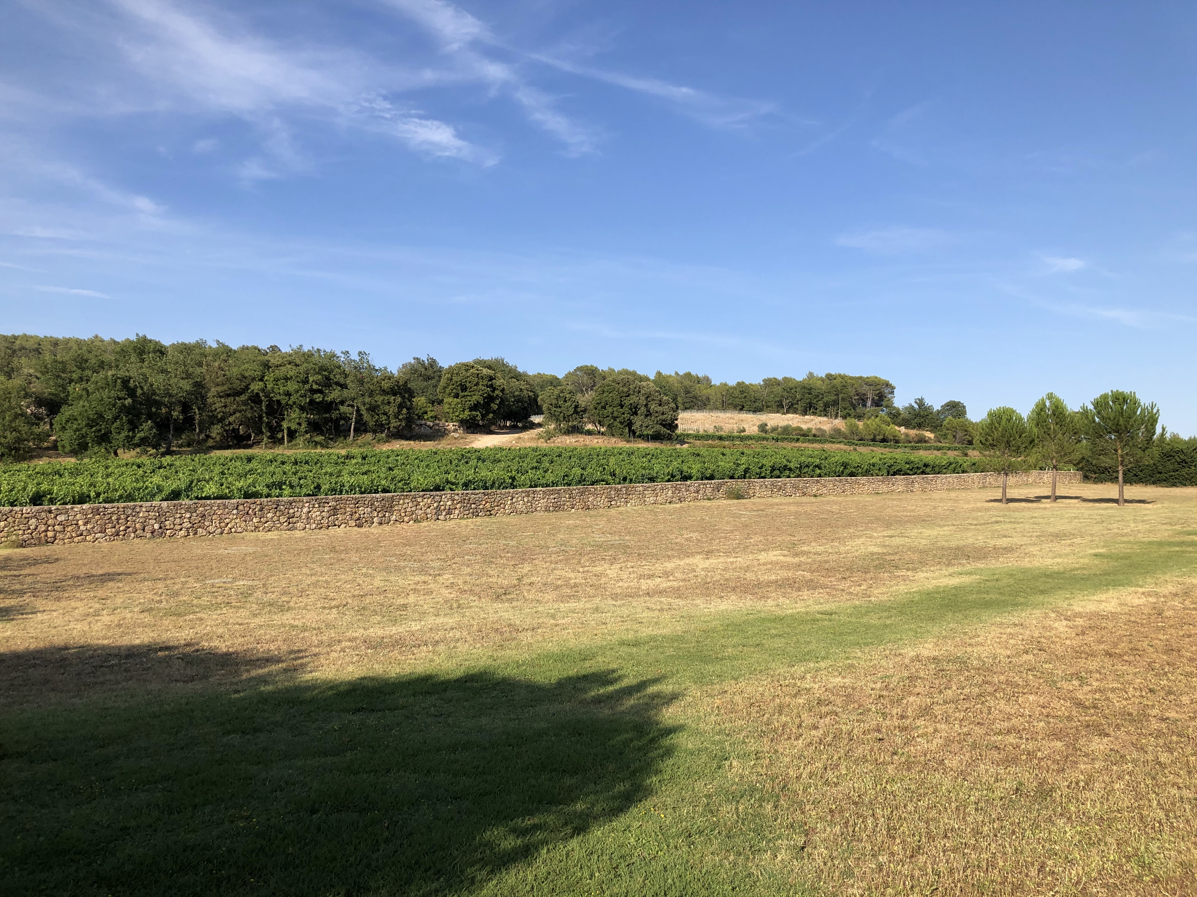 Photo n° 1 de l'avis de Roy.o fait le 29/07/2020 à 09:14