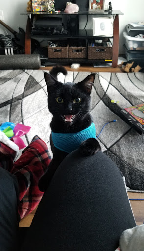 Pet Supply Store «PetSmart», reviews and photos, 9450 SE 82nd Ave, Portland, OR 97086, USA