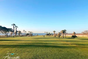 Amarilla Golf Club image