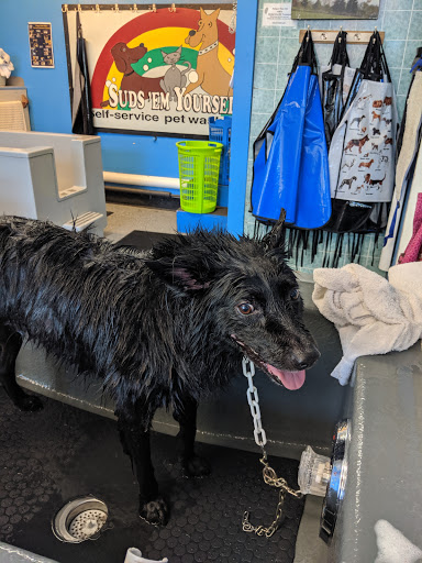 Suds 'Em Yourself Dog Wash