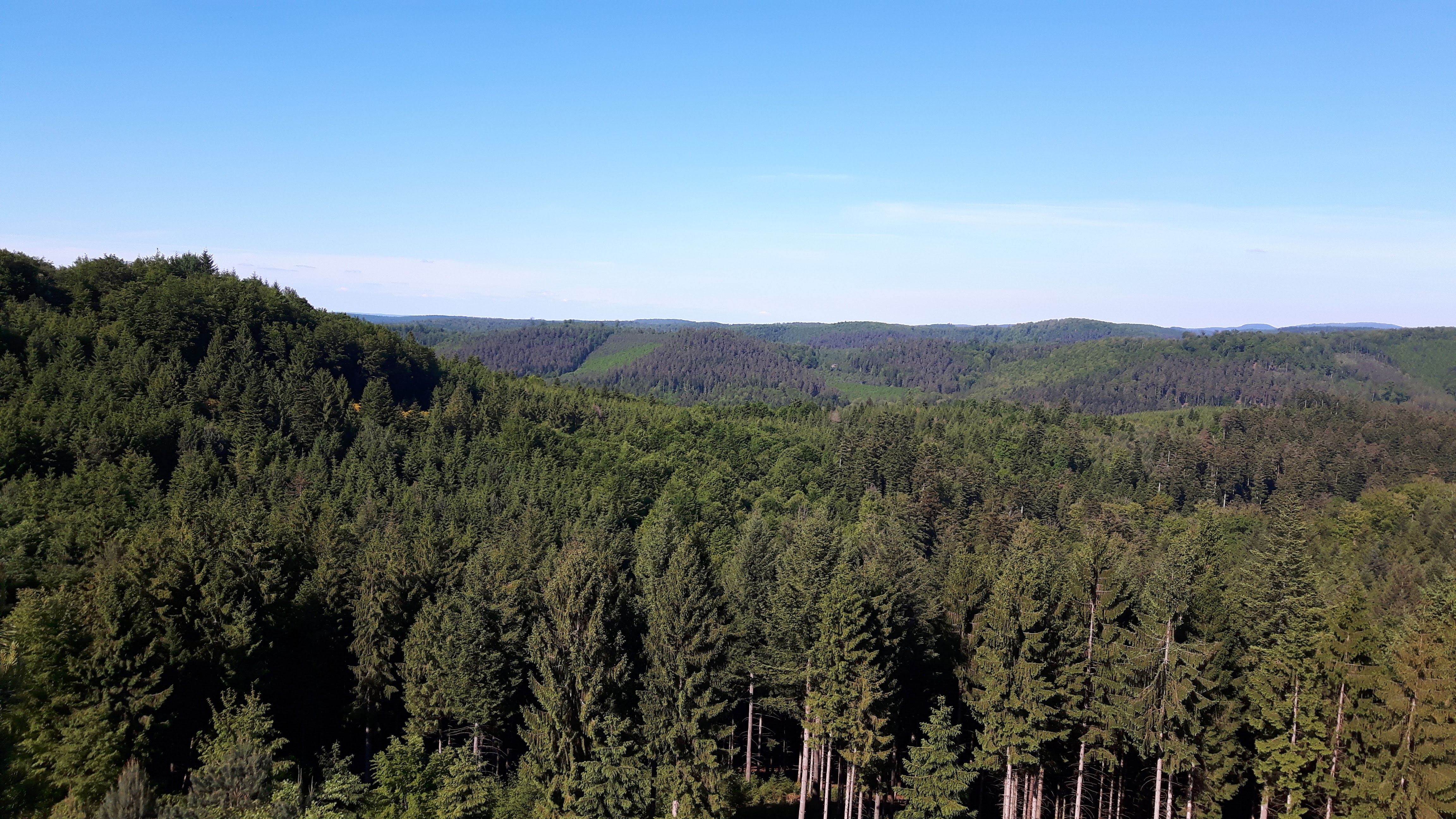 Photo n° 2 de l'avis de céline.h fait le 28/05/2017 à 07:39