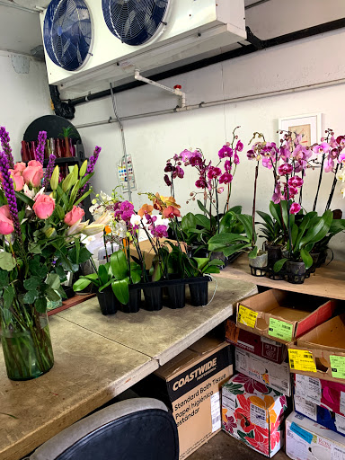 Florist «The Flower Place», reviews and photos, 860 NE 79th St, Miami, FL 33138, USA