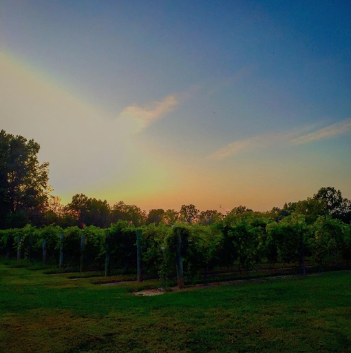 Winery «Harmony Hill Vineyards», reviews and photos, 2534 Swings Corner Point Isabel Rd, Bethel, OH 45106, USA