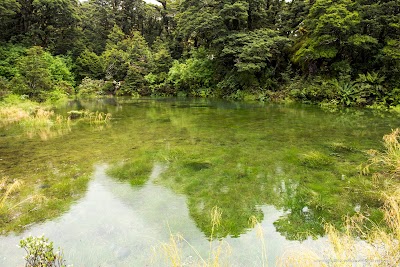 Photos of Monkey Creek