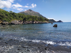 Spiaggia Illicini'in fotoğrafı biraz temiz temizlik seviyesi ile