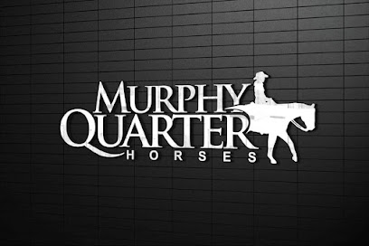 Murphy Quarter Horses
