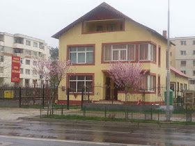 Casa Olteanu Mioveni