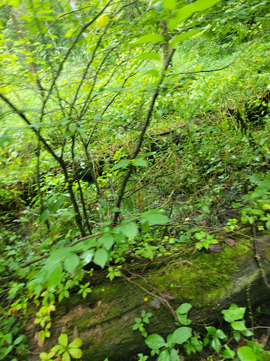 Park «Blacklick Woods Metro Park», reviews and photos, 6975 East Livingston Avenue, Reynoldsburg, OH 43068, USA