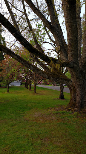 Private Golf Course «Michelbook Country Club», reviews and photos, 1301 NW Michelbook Ln, McMinnville, OR 97128, USA