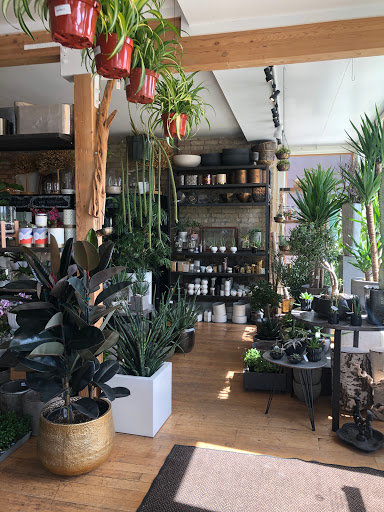 Orchid Grower «Orchid Dynasty», reviews and photos, 959 900 S, Salt Lake City, UT 84105, USA