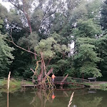 Photo n°5 de l'avis de Wilfried.r fait le 30/08/2021 à 10:43 sur le  Hotel Reifenstein à Kleinbartloff OT Reifenstein