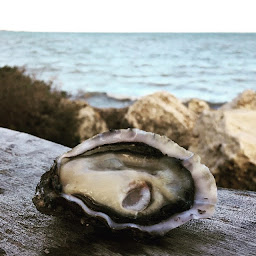 Photo n°94 de Ré Ostréa à Saint-Martin-de-Ré ()