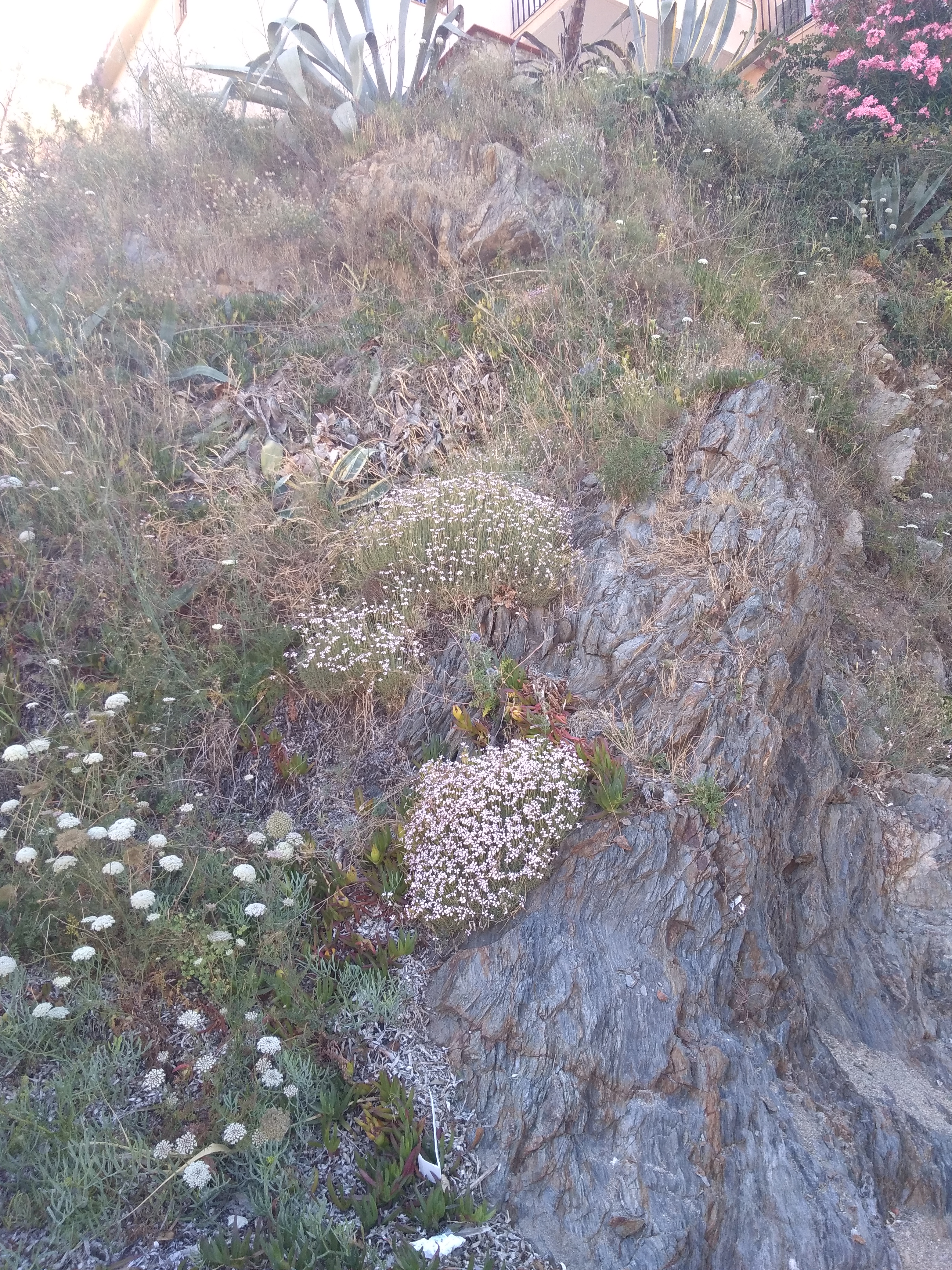 Photo n° 1 de l'avis de Sandrine.P fait le 10/07/2020 à 17:36