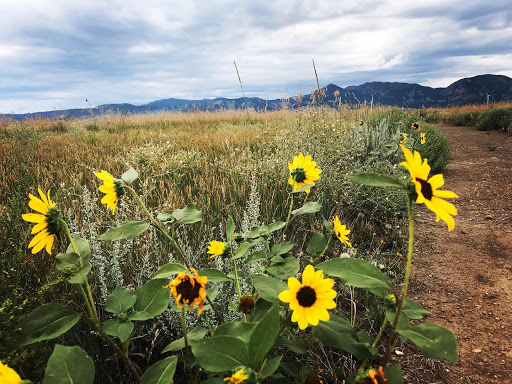 Nature Preserve «Rocky Flats National Wildlife Refuge», reviews and photos, 10808 Colorado 93, Golden, CO 80403, USA