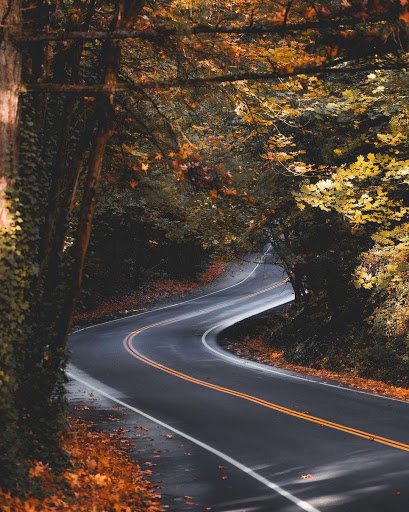 Gift Shop «The Pacific Northwest Shop», reviews and photos, 2702 N Proctor St, Tacoma, WA 98407, USA