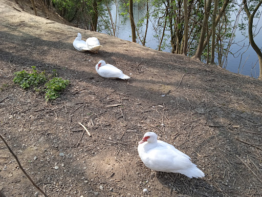 Küçük Resim 1