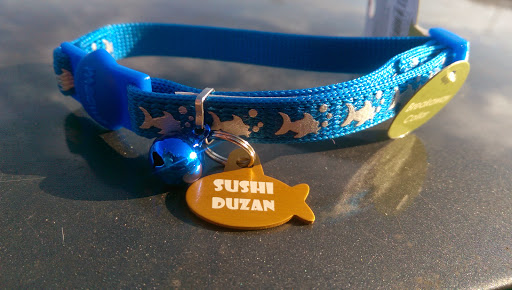 Pet Supply Store «PetSmart», reviews and photos, 919 Lakeland Park Center Dr Unit 380, Lakeland, FL 33809, USA