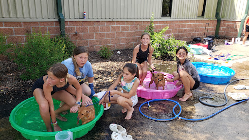 Animal Shelter «SPCA of Brazoria County», reviews and photos