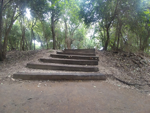 Park «Olmos Basin», reviews and photos, 651 Devine Rd, San Antonio, TX 78209, USA