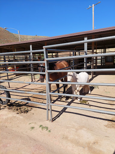 Lazy T Ranch - 3