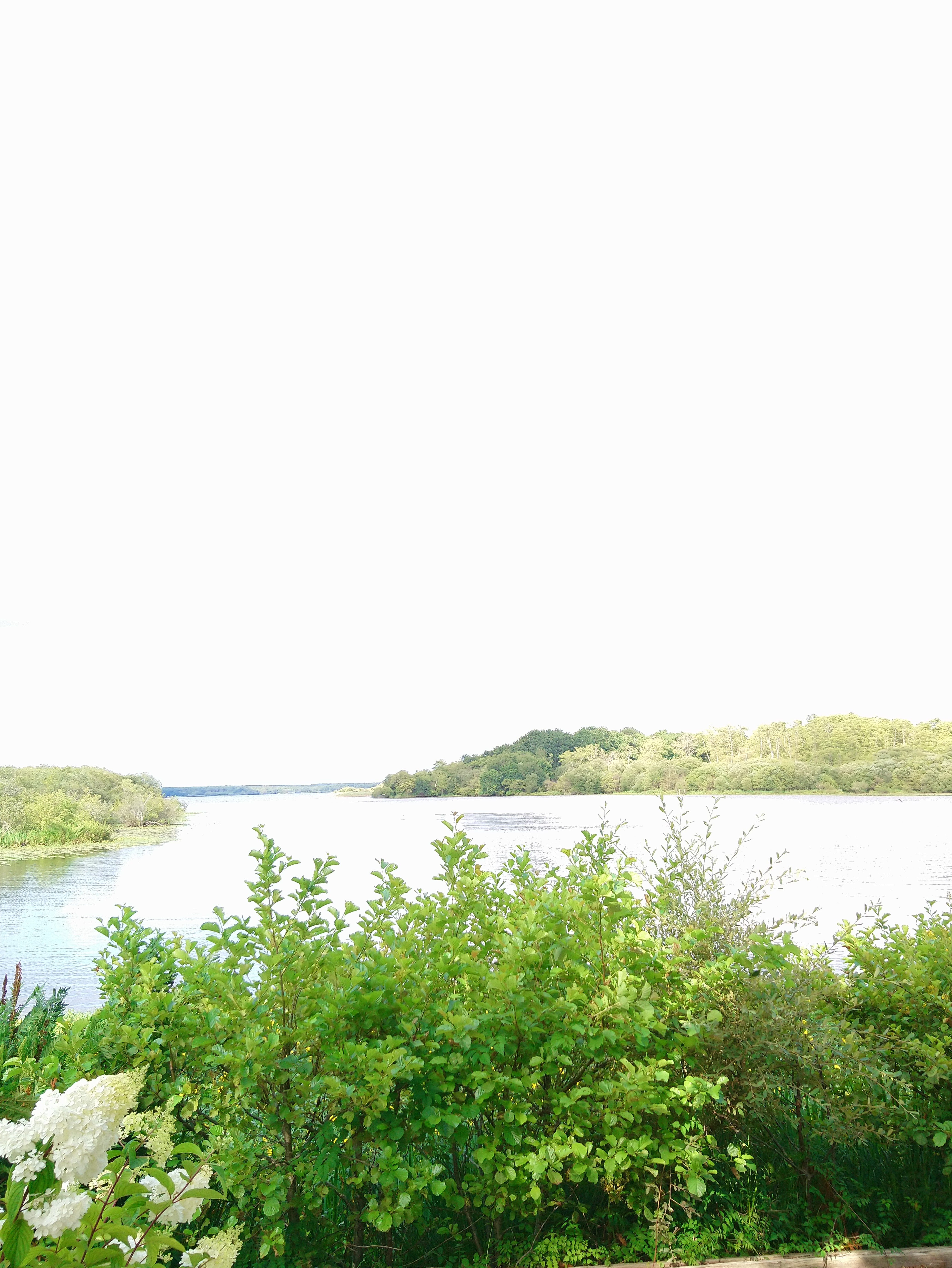 Photo n° 14 de l'avis de karine. fait le 10/07/2020 à 16:43