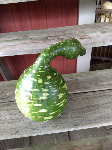 Farm «Sun High Orchards», reviews and photos, 19 Canfield Ave, Randolph, NJ 07869, USA