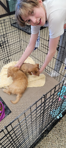 Pet Supply Store «Pet Ranch», reviews and photos, 3823 E 120th Ave, Denver, CO 80233, USA