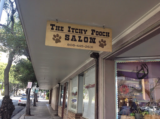 The Itchy Pooch Salon