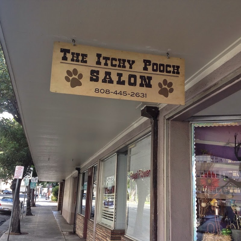 The Itchy Pooch Salon