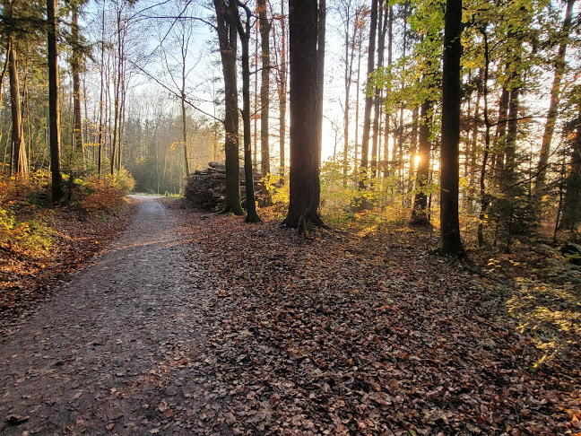 Vitaparcours St. Gallen - Höchsterwald