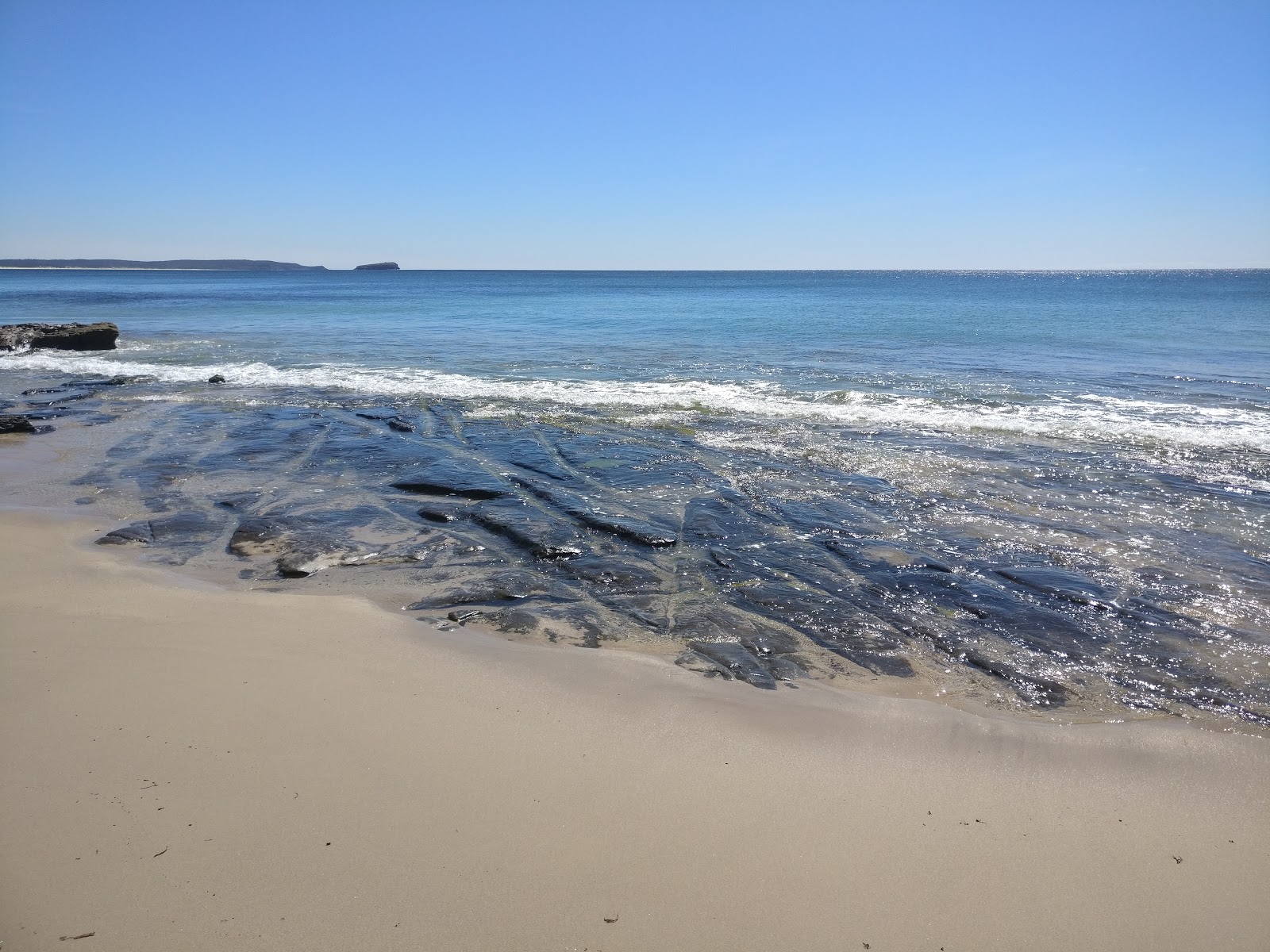 Jenny Dixon Beach的照片 位于自然区域