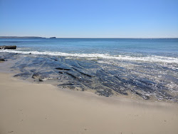 Zdjęcie Jenny Dixon Beach położony w naturalnym obszarze