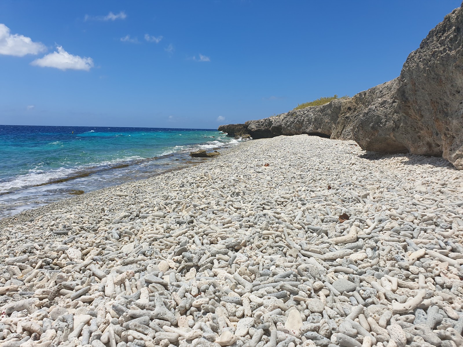 Foto de Ol' Blue Beach con muy limpio nivel de limpieza