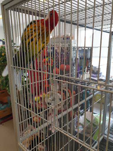 Blue Eye Rideudstyr in Tønder, Tønder