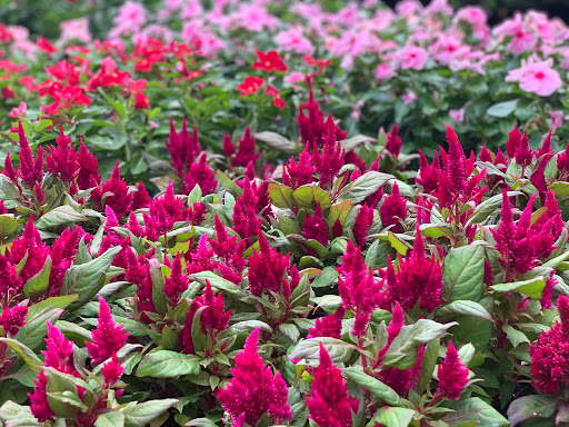 Home Improvement Store «The Home Depot», reviews and photos, 1055 Paterson Plank Rd, Secaucus, NJ 07094, USA