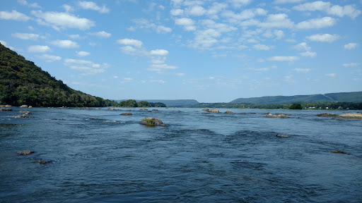 Tourist Attraction «Dauphin Narrows Statue Of Liberty», reviews and photos, US-22, Dauphin, PA 17018, USA