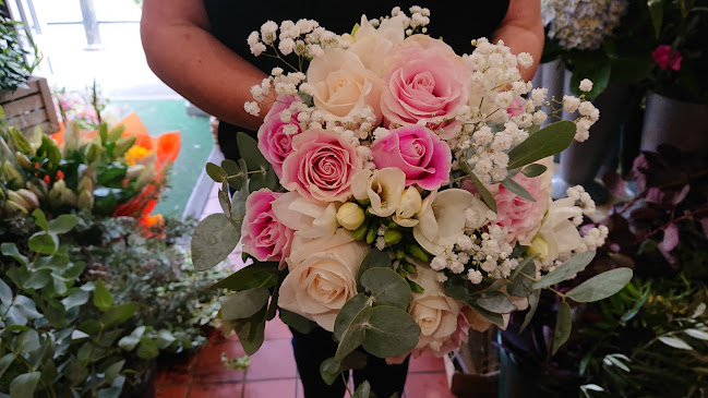 Comments and reviews of Highworth Flowers