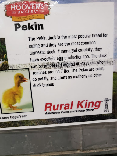 Department Store «Rural King», reviews and photos, 7 Ohio River Plaza, Gallipolis, OH 45631, USA